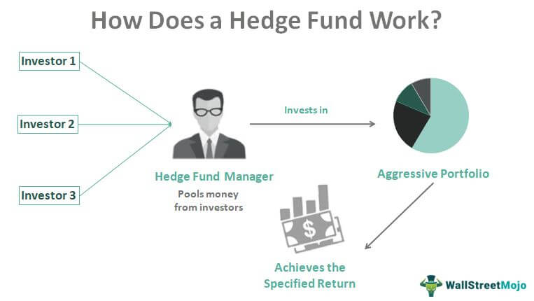 Explain the work of hedge fund accountants
