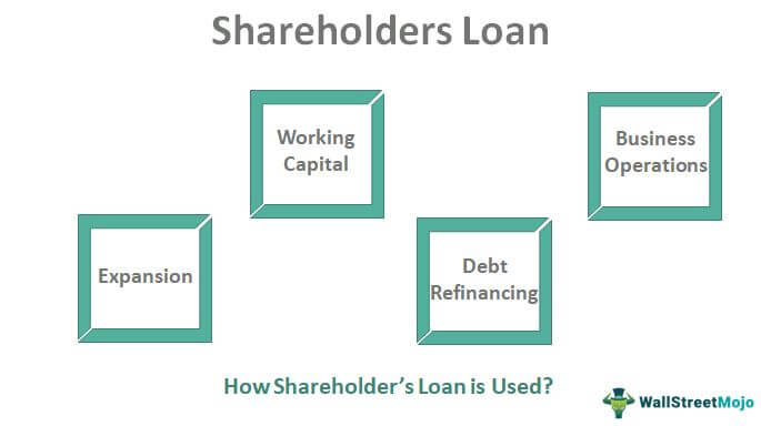 Shareholder loans