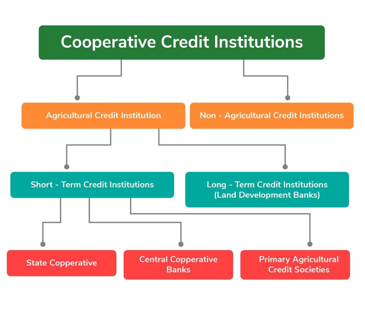 What is the difference between credit cooperatives and banks?